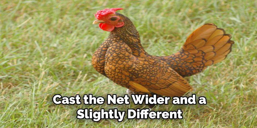 Cast the Net Wider and a
Slightly Different