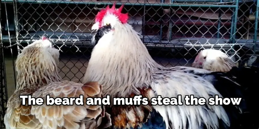 The beard and muffs steal the show