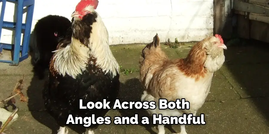 Look Across Both 
Angles and a Handful