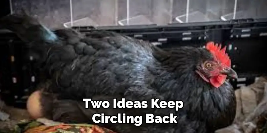 Two Ideas Keep 
Circling Back