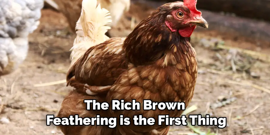 The Rich Brown
Feathering is the First Thing