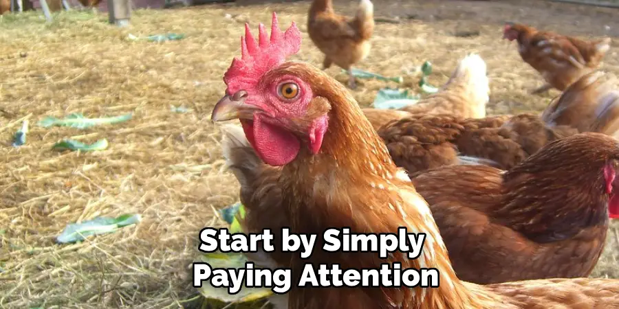 Start by Simply
Paying Attention