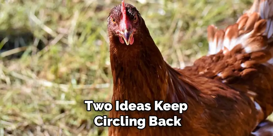 Two Ideas Keep
Circling Back
