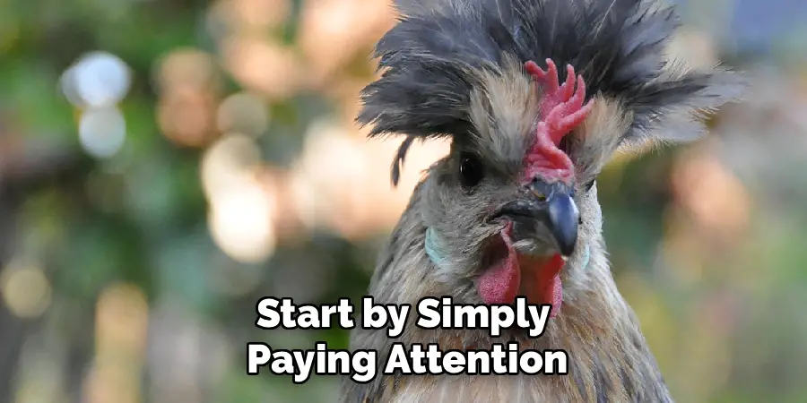 Start by Simply
Paying Attention