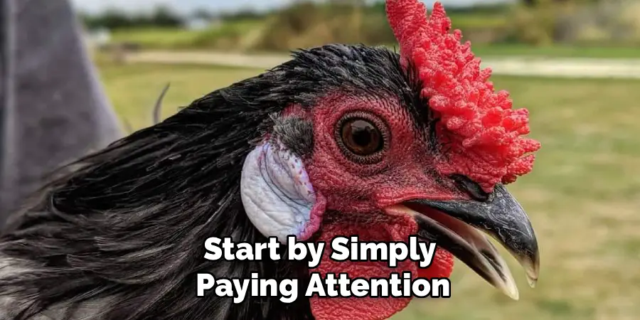 Start by Simply
Paying Attention