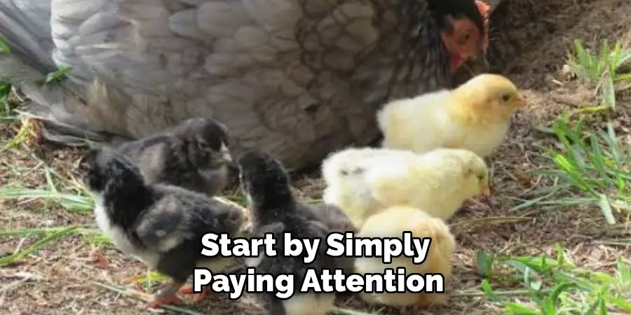 Start by Simply 
Paying Attention