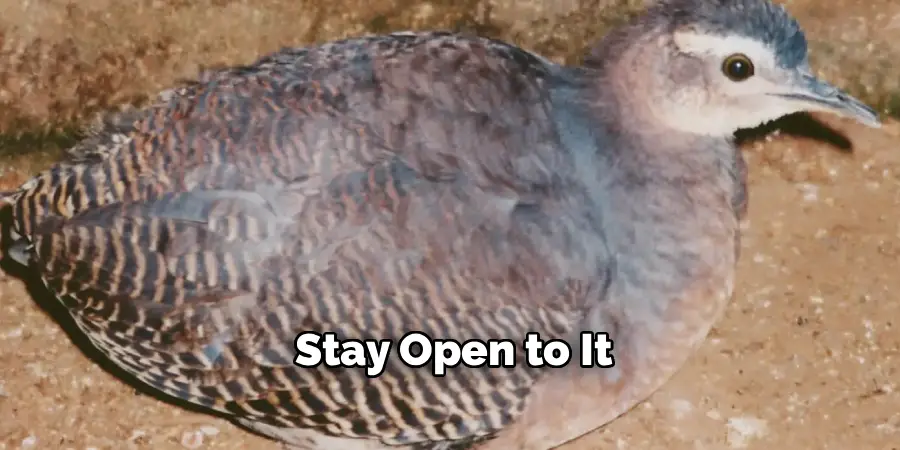 Stay Open to It