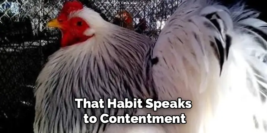 That Habit Speaks 
to Contentment