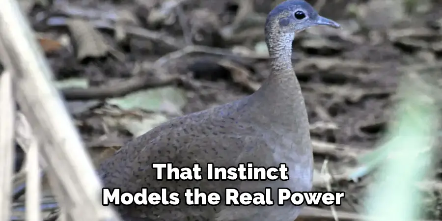 That Instinct
Models the Real Power