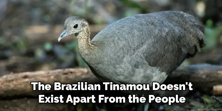 The Brazilian Tinamou Doesn't
 Exist Apart From the People 