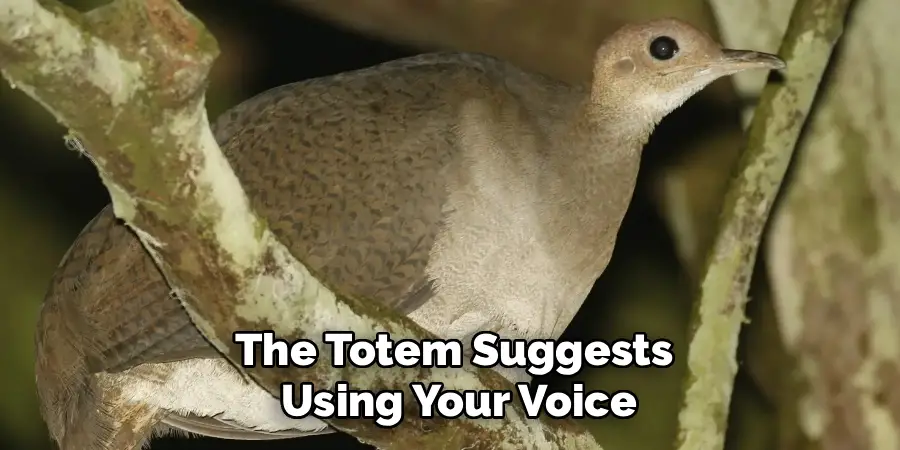The Totem Suggests Using Your Voice