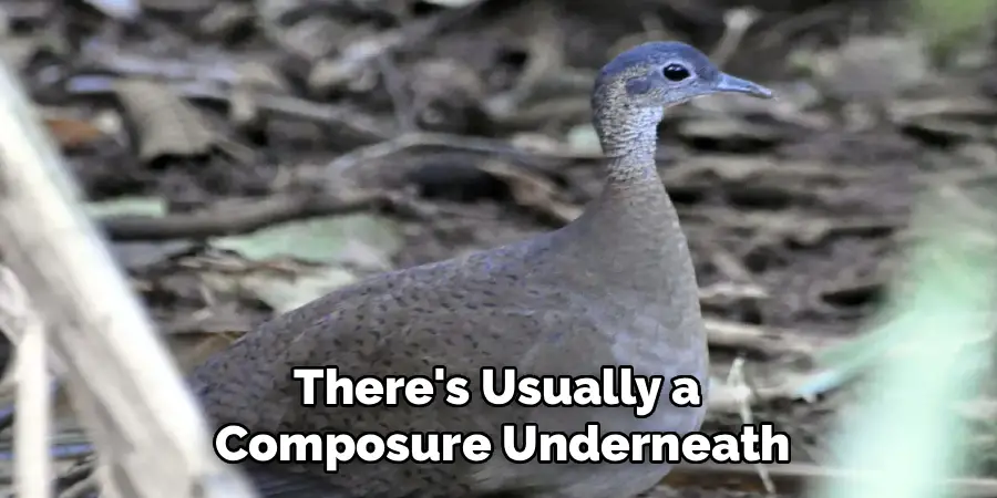There's Usually a 
Composure Underneath