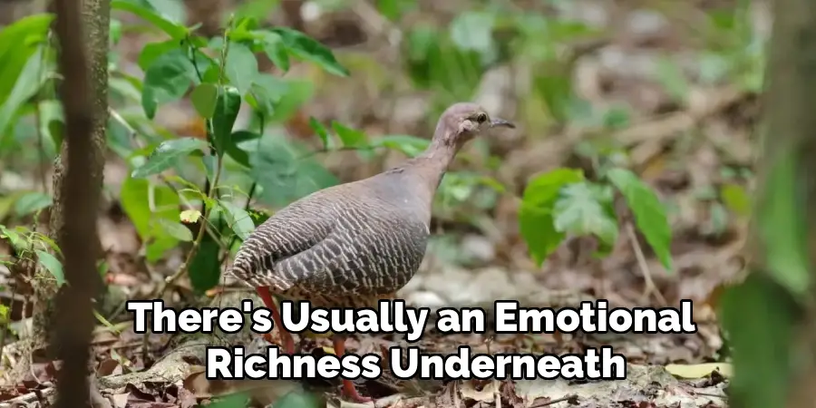The Brazilian Tinamou Favors Dense Lowland