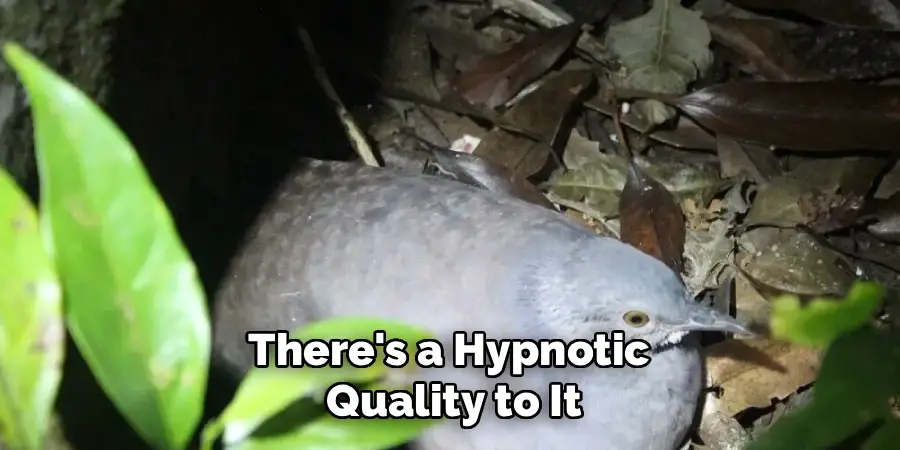 There's a Hypnotic 
Quality to It