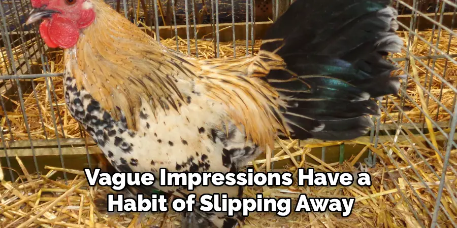 Vague Impressions Have a
Habit of Slipping Away