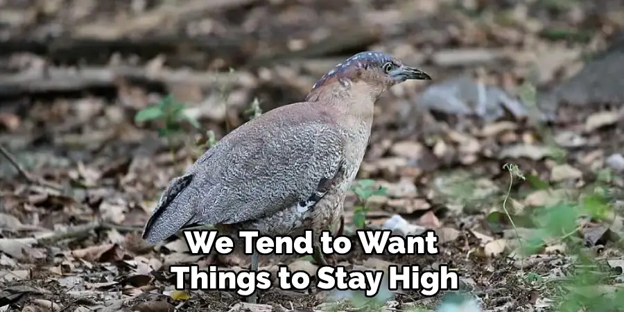 We Tend to Want 
Things to Stay High