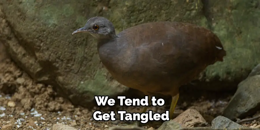 We Tend to
Get Tangled