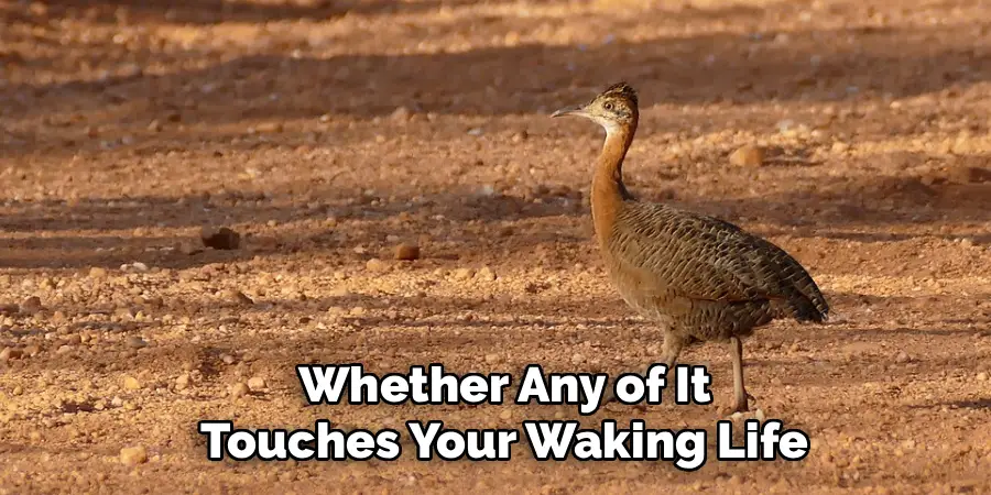  Whether Any of It
 Touches Your Waking Life