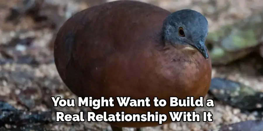 You Might Want to Build a Real Relationship With It