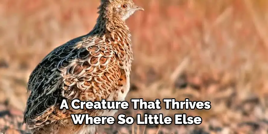 A Creature That Thrives
Where So Little Else
