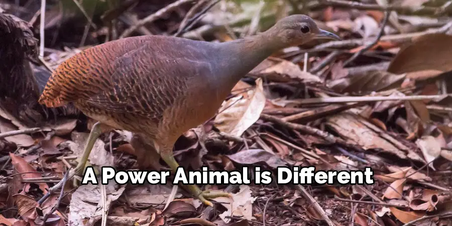 A Power Animal is Different