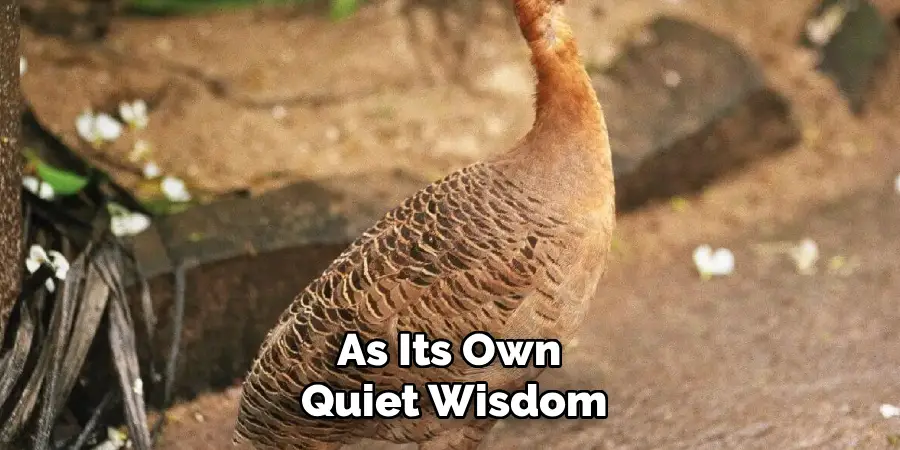 As Its Own
Quiet Wisdom