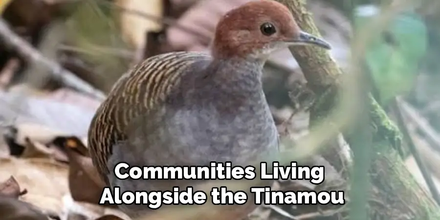 Communities Living
Alongside the Tinamou