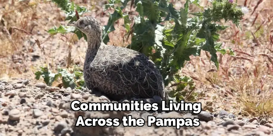 Communities Living
Across the Pampas