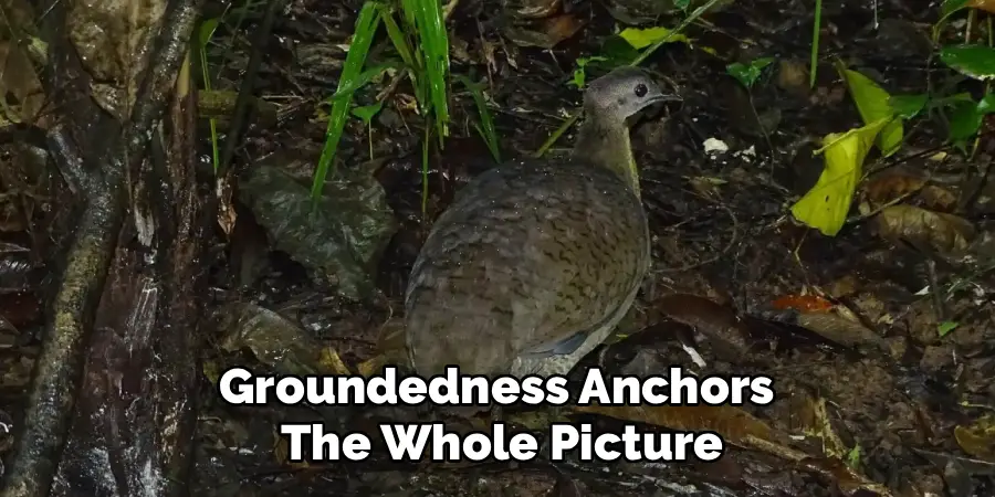 Groundedness Anchors 
The Whole Picture