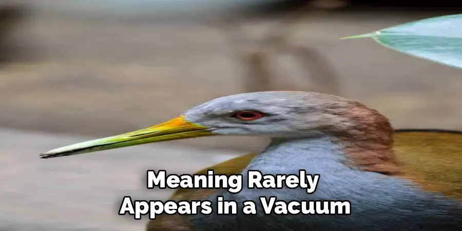 Meaning Rarely
Appears in a Vacuum