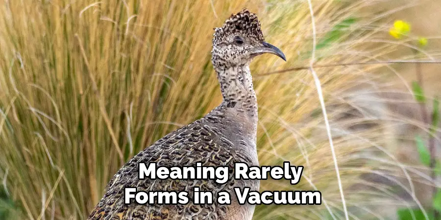 Meaning Rarely
Forms in a Vacuum