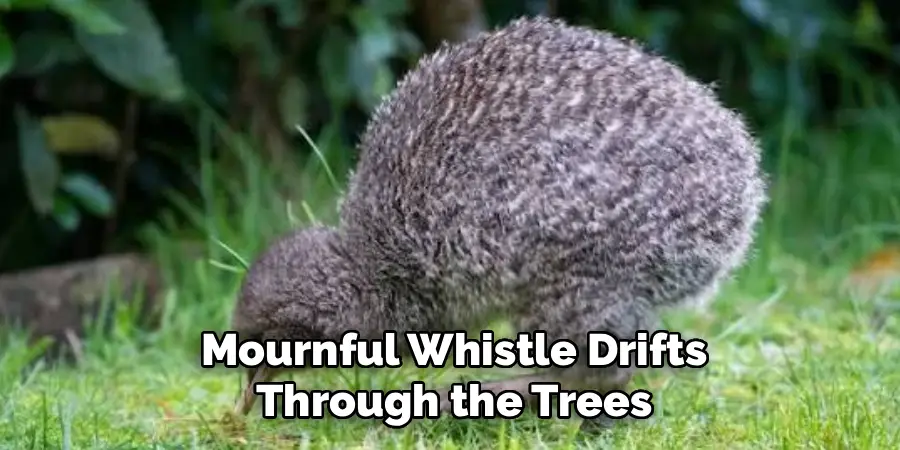 Mournful Whistle Drifts
Through the Trees