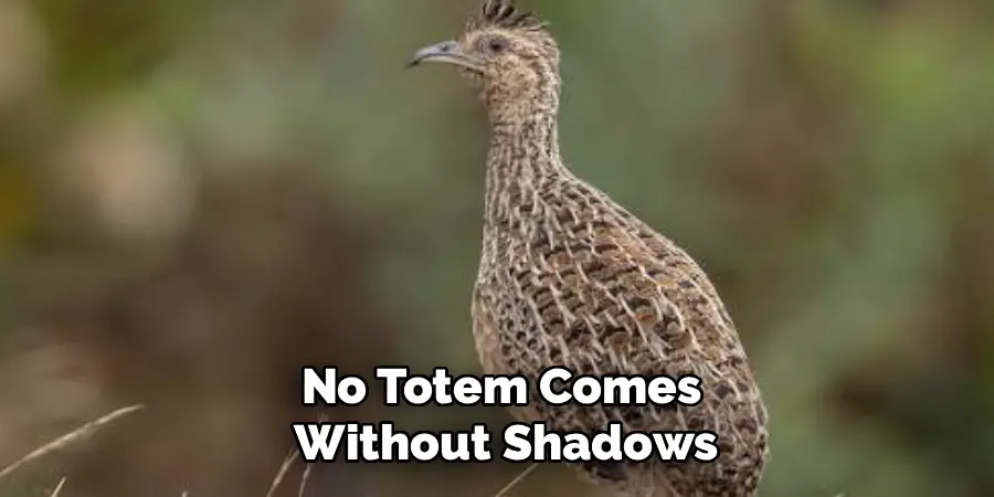 No Totem Comes
Without Shadows