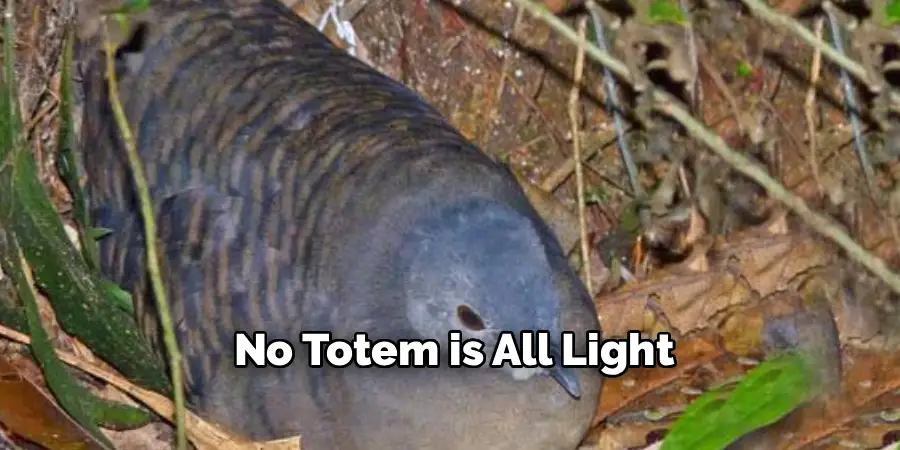 No Totem is All Light