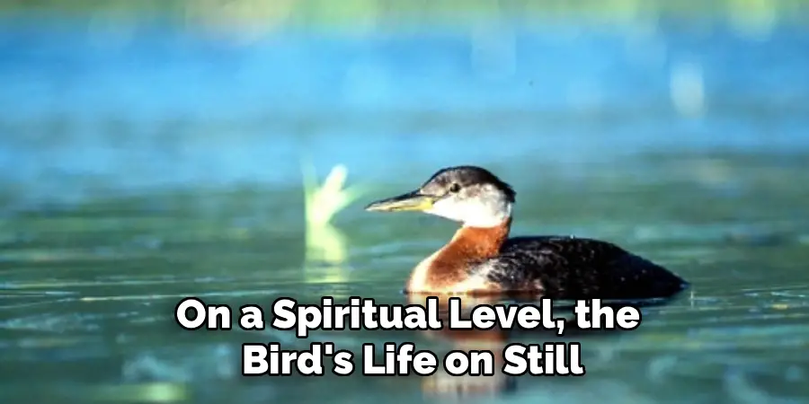 On a Spiritual Level, the
Bird's Life on Still