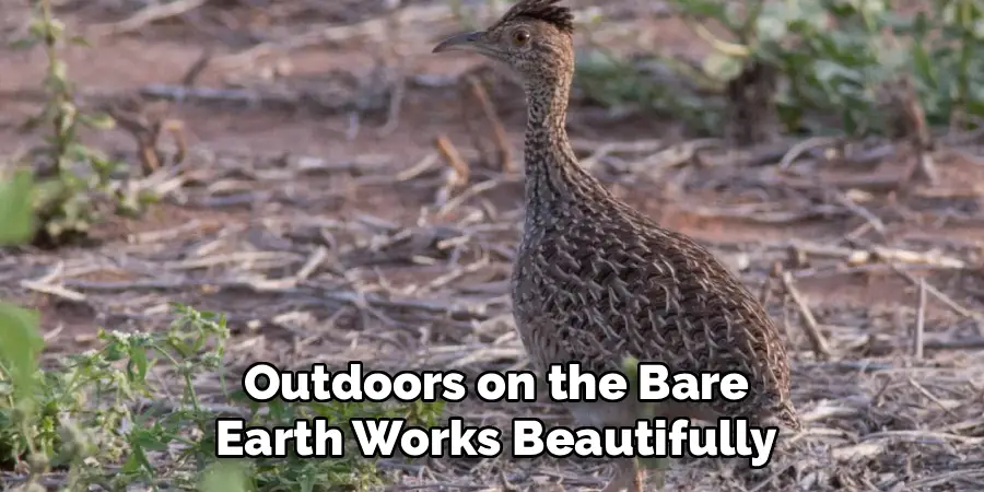 Outdoors on the Bare
Earth Works Beautifully