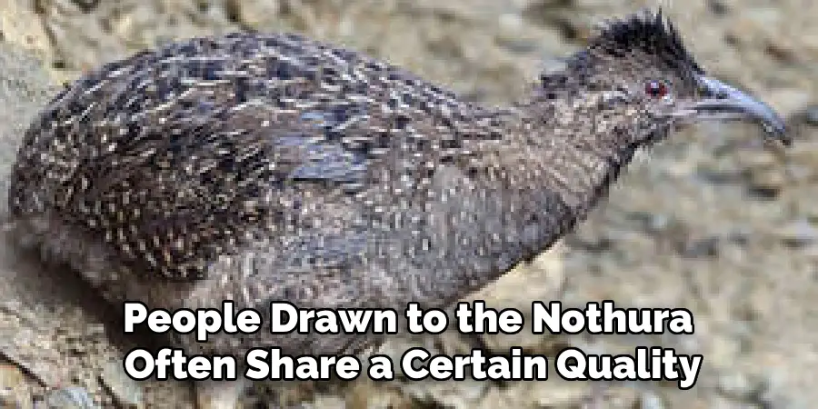 People Drawn to the Nothura 
Often Share a Certain Quality