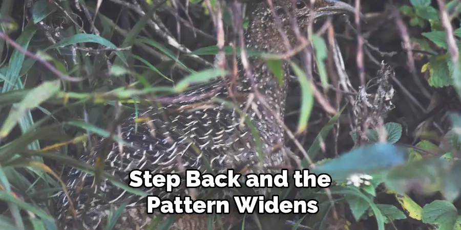 Step Back and the
Pattern Widens