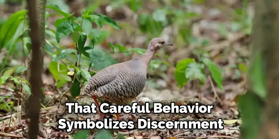 That Careful Behavior
Symbolizes Discernment
