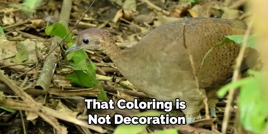 That Coloring is
Not Decoration