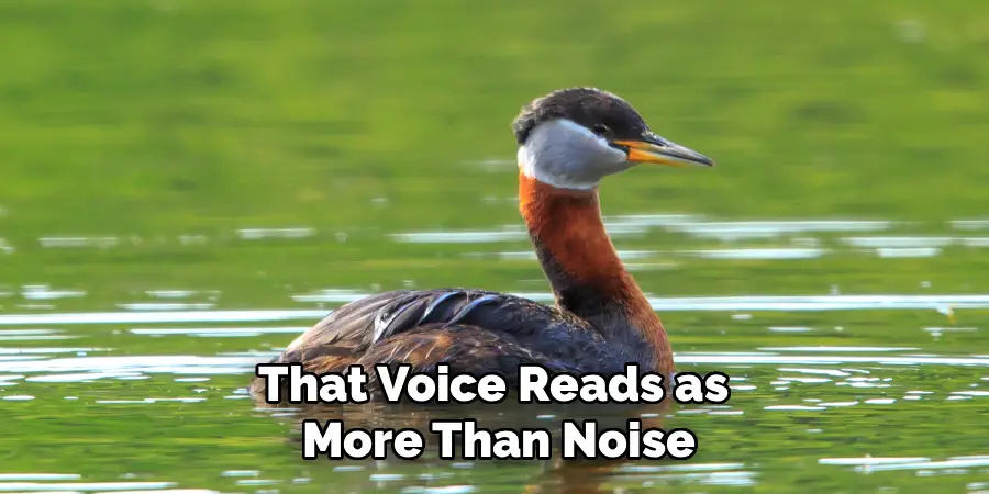 That Voice Reads as
More Than Noise
