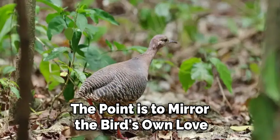 The Point is to Mirror
the Bird's Own Love