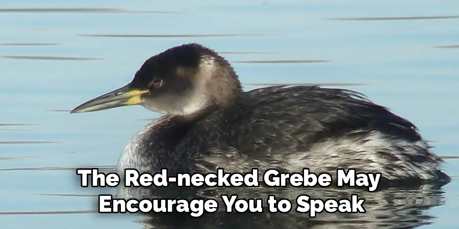 The Red-necked Grebe May
Encourage You to Speak