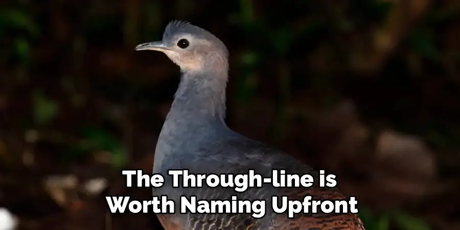 The Through-line is
Worth Naming Upfront