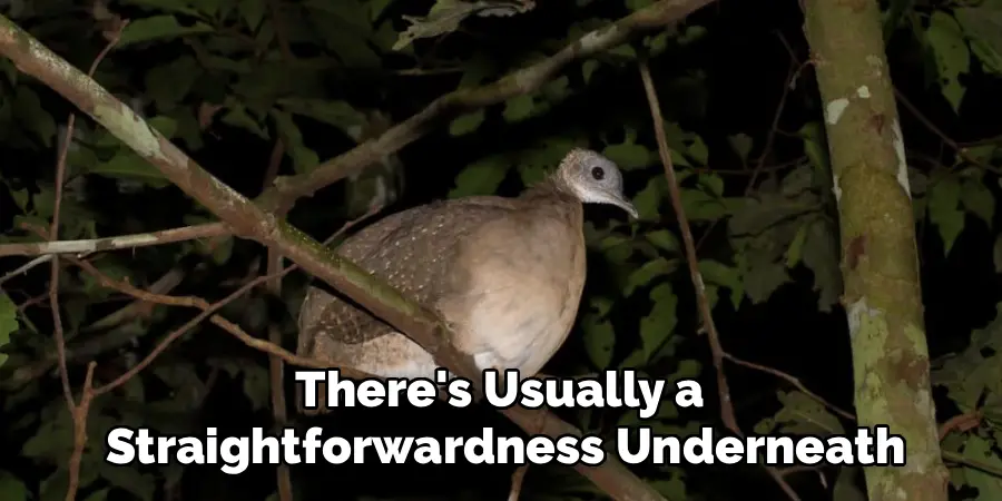 There's Usually a Straightforwardness Underneath