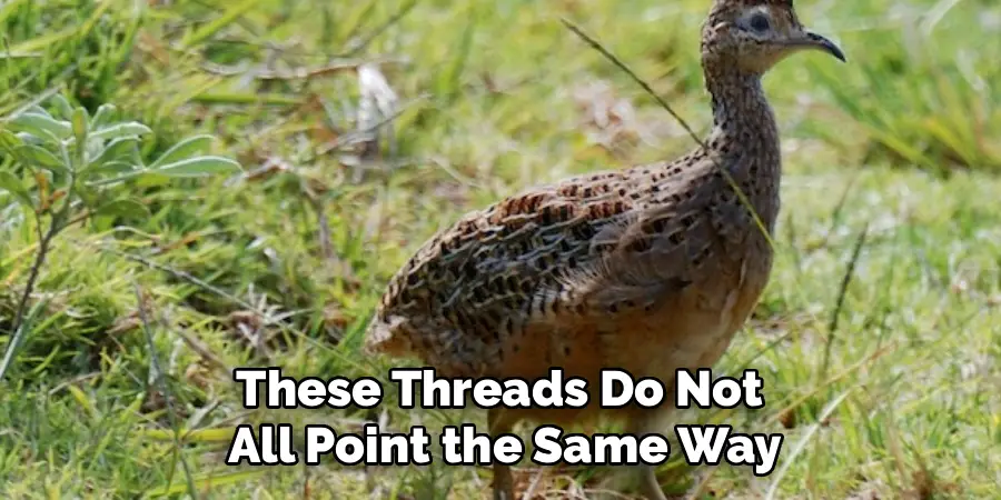 These Threads Do Not
All Point the Same Way