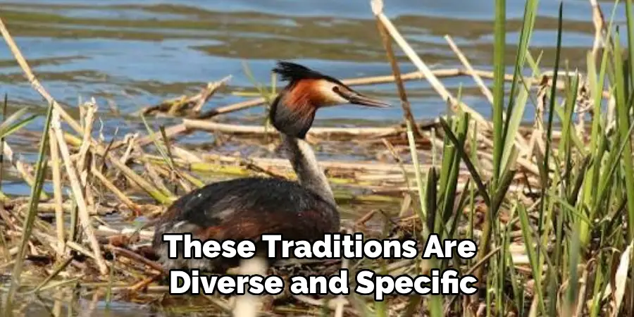 These Traditions Are
Diverse and Specific