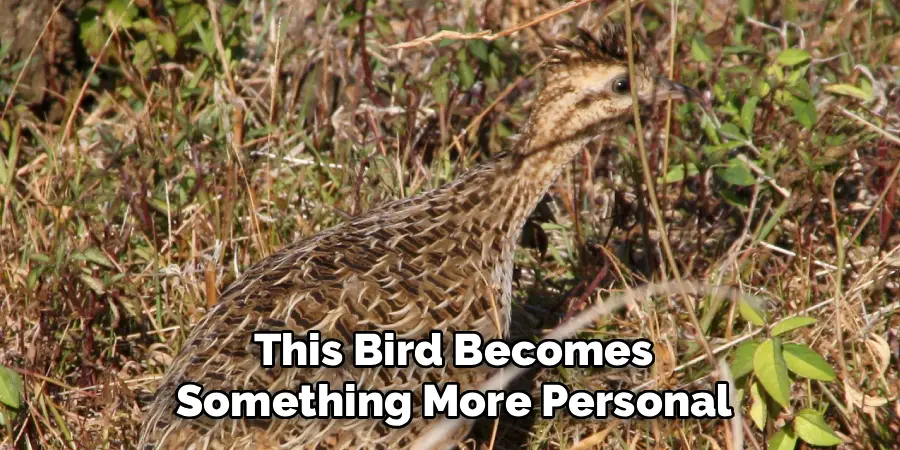 This Bird Becomes
Something More Personal