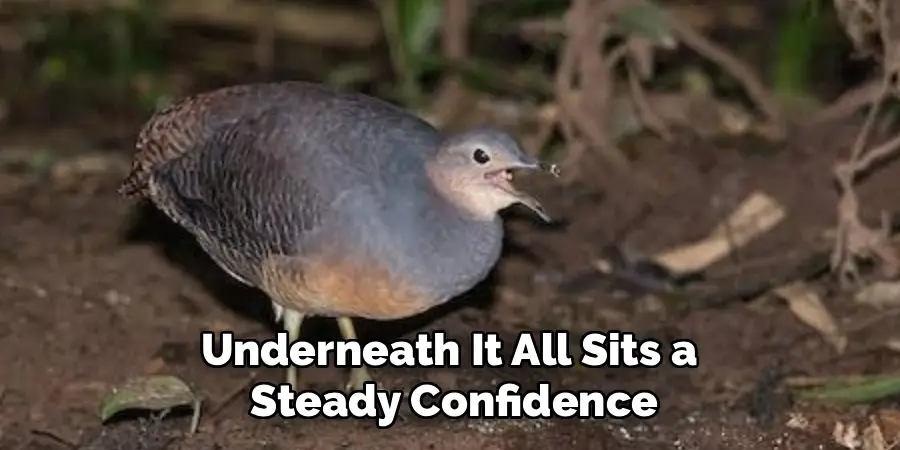 Underneath It All Sits a Steady Confidence