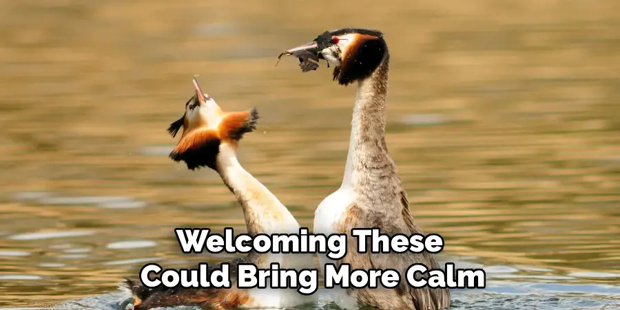 Welcoming These
Could Bring More Calm